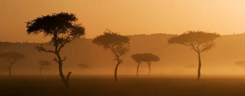 Top 10 zajímavostí o Keni