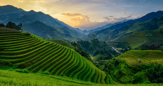 Vietnam_570x300.png