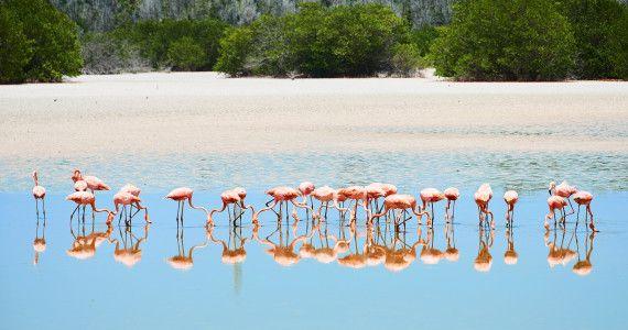 Dovolená Cayo Guillermo Kuba | STUDENT AGENCY