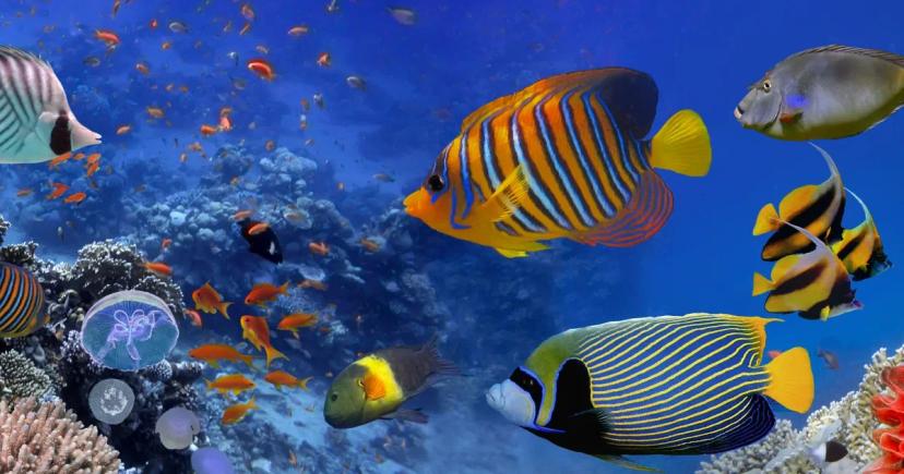 Co si s sebou vzít do Egypta a na co si dát pozor