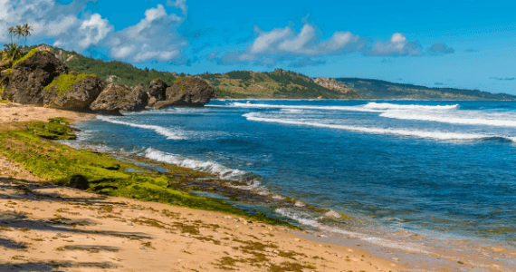 Zájezdy na Barbados na dovolena.cz od STUDENT AGENCY