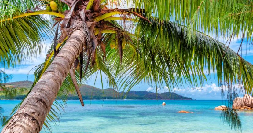 Nejkrásnější karibské destinace