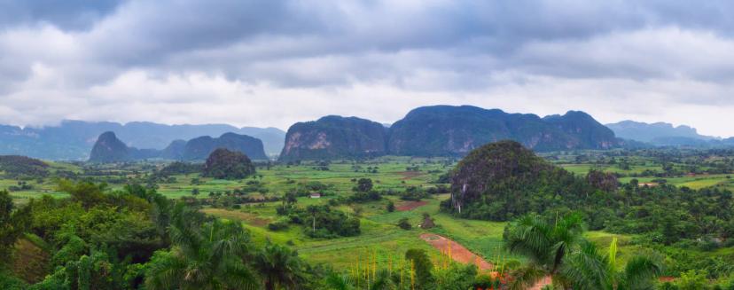 Kubánský rum a doutníky: Příchuť autentické kultury