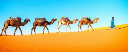 Kdy cestovat do Maroka