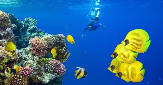 Dovolená Marsa Alam Egypt | STUDENT AGENCY