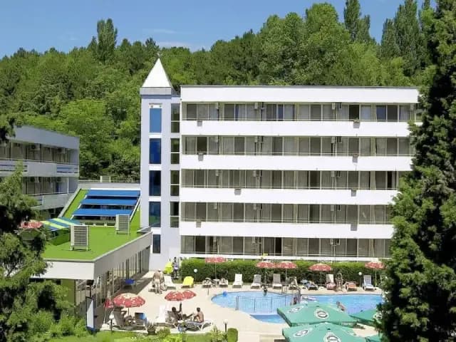 Oasis