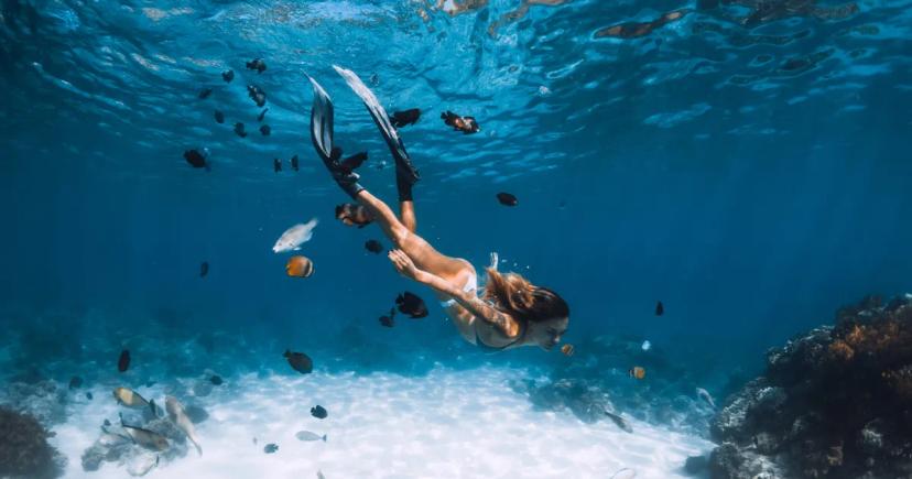 Nejlepší exotické destinace pro šnorchlování a potápění