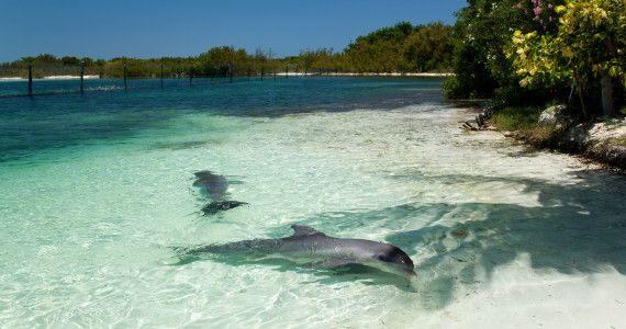 Dovolená Varadero Kuba | STUDENT AGENCY