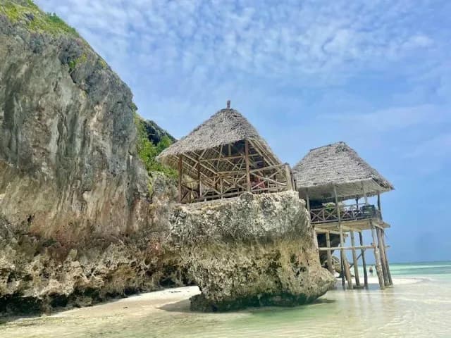 Zanzibarem od severu k jihu, safari v Tanzánii